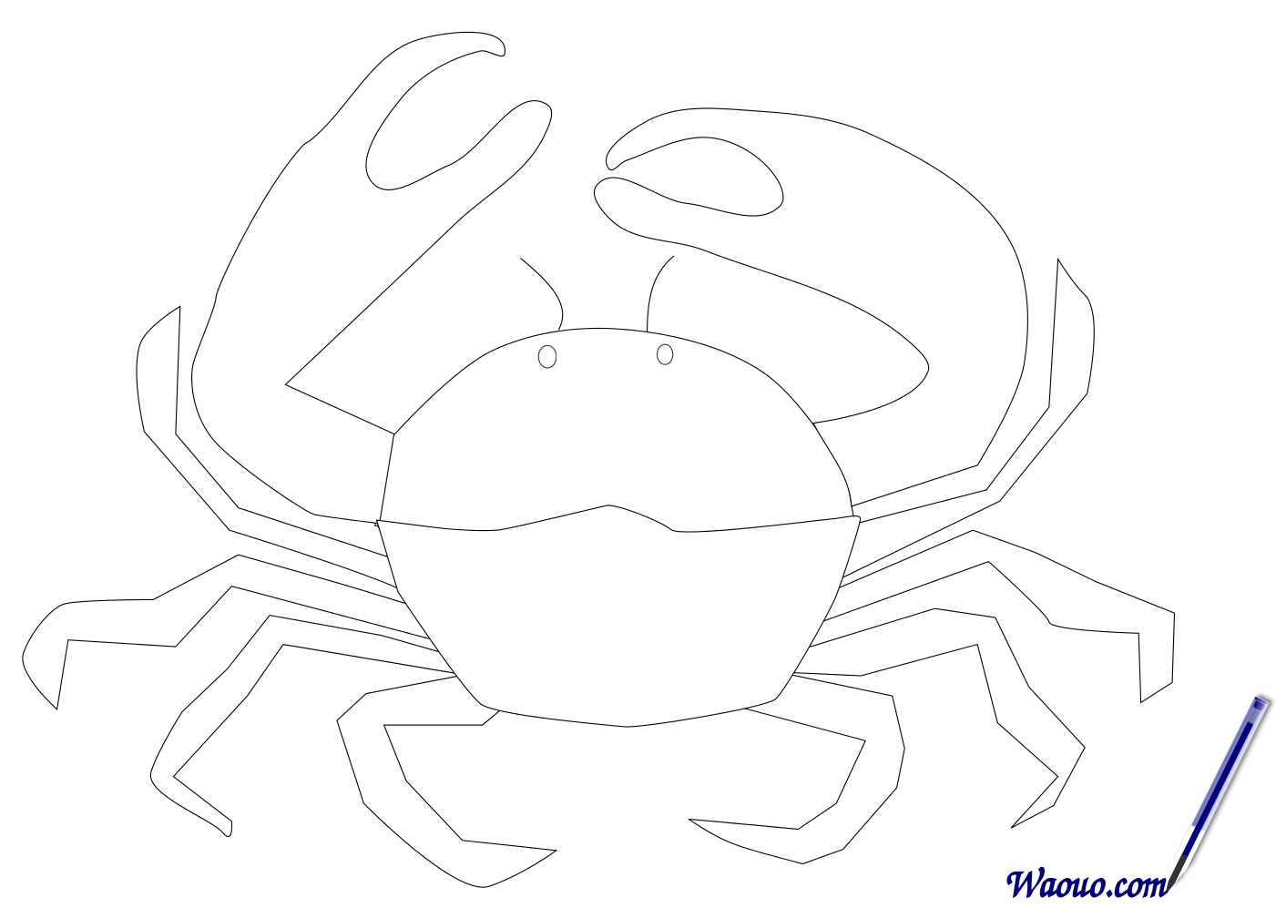 Dessin crabe